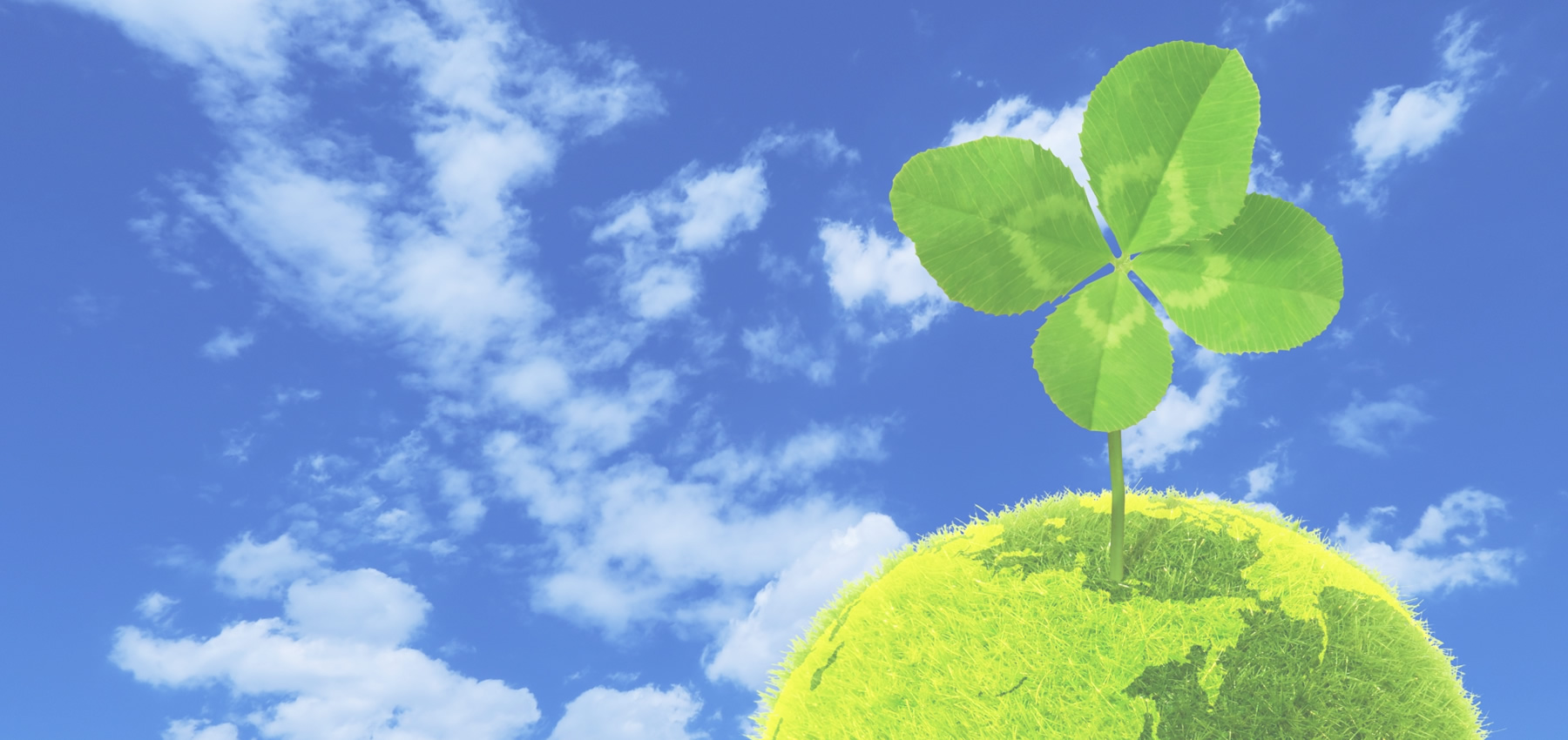 トップイメージ03